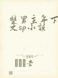 双男主年下训诫文sp小说封面