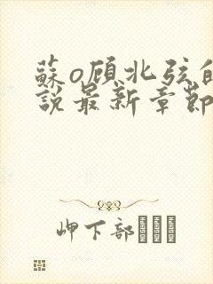 苏o顾北弦的小说最新章节