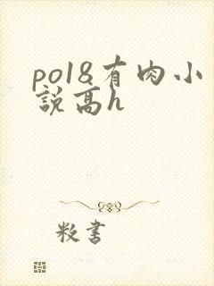 po18有肉小说高h