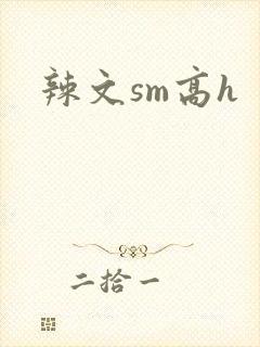 辣文sm高h