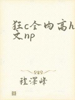 狂c全肉高h辣文np