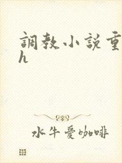 调教小说重口高h