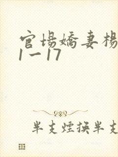 官场娇妻杨雨婷1一17