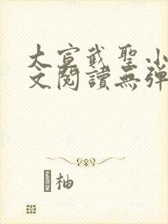 大宣武圣小说全文阅读无弹窗