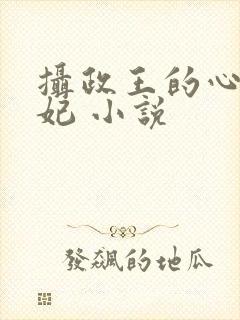 摄政王的心尖宠妃 小说