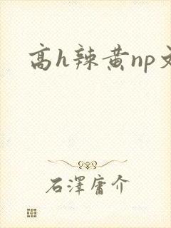 高h辣黄np文