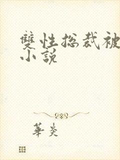 双性总裁被调教小说