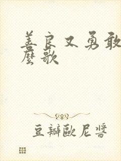 善良又勇敢是什么歌