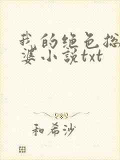 我的绝色总裁老婆小说txt封面