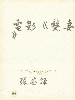 电影《双妻艳史》