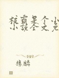 校霸是个小妖精小说全文免费阅读笔趣阁封面