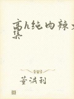 高h纯肉辣文合集