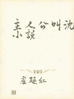 主人公叫沈晴的小说