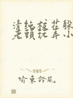 清纯校花躲雨被老头玩弄小说最新章