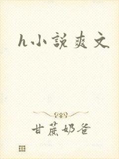 h小说爽文封面
