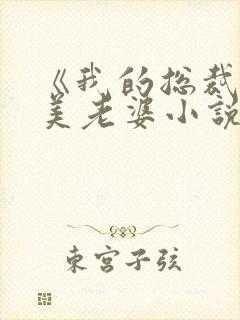 《我的总裁白富美老婆小说》