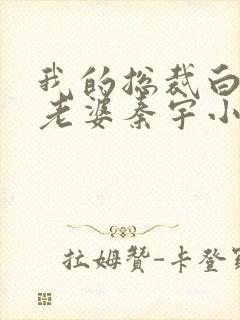 我的总裁白富美老婆秦宇小说最新章节在线