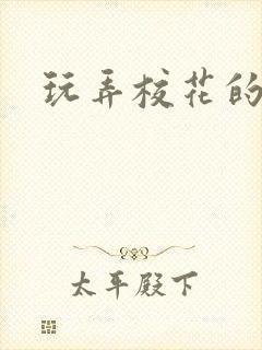 玩弄校花的小说