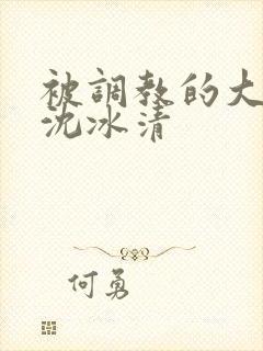 被调教的大小姐沈冰清封面