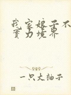 我家娘子不对劲实力境界