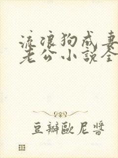 流浪狗成妻子的老公小说全文阅读