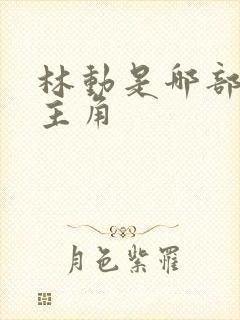 林动是哪部小说主角封面