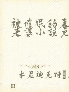 被催眠的表妹和老婆小说免费阅读