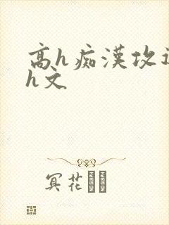 高h痴汉攻迷dh文
