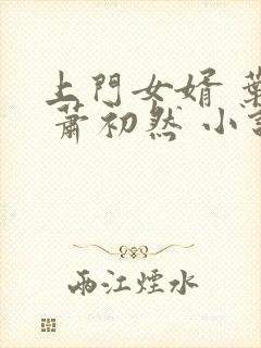 上门女婿 叶辰 萧初然 小说封面