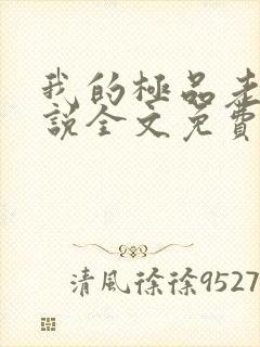 我的极品老婆小说全文免费阅读