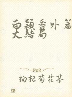 白颖番外篇后传大结局