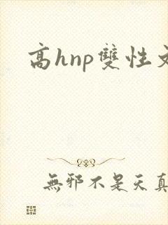 高hnp双性文