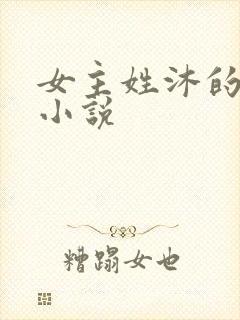 女主姓沐的现代小说