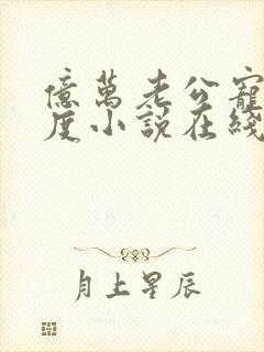 亿万老公宠妻无度小说在线阅读