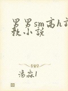 男男sm高h调教小说