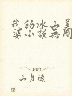我的冰山美女老婆小说无删减版