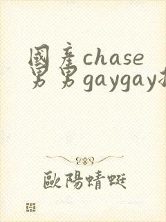 国产chase男男gaygay捆绑视频