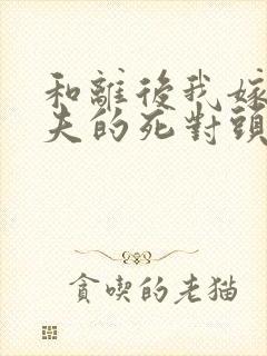 和离后我嫁给前夫的死对头小说