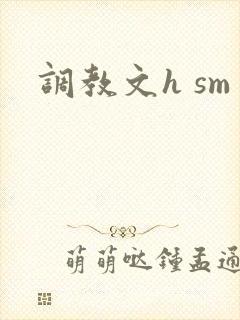 调教文h sm