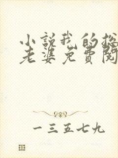 小说我的总裁大老婆免费阅读