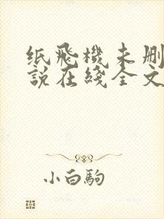 纸飞机未删减小说在线全文免费阅读