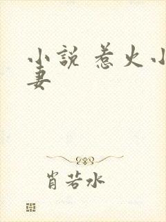 小说 惹火小娇妻封面