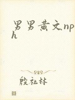 男男黄文np高h