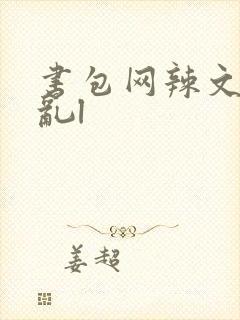 书包网辣文高h乱l
