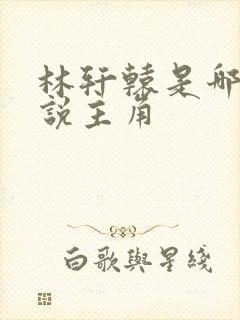 林轩辕是哪部小说主角