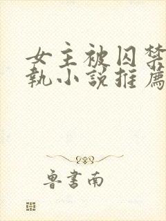 女主被囚禁的偏执小说推荐