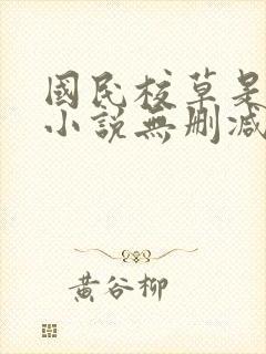 国民校草是女生小说无删减