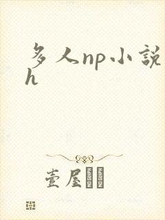 多人np小说高h封面