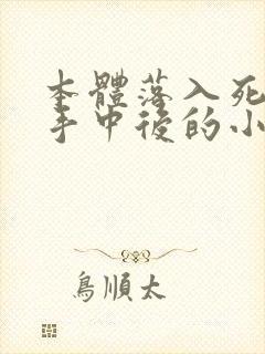 本体落入死对头手中后的小说免费阅读