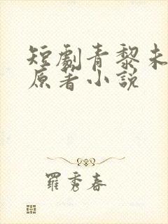短剧青黎未央的原著小说封面